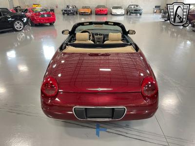 2004 Ford Thunderbird