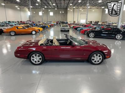 2004 Ford Thunderbird