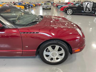 2004 Ford Thunderbird