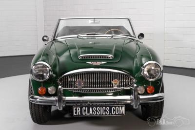 1966 Austin - Healey 3000 MKIII