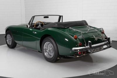 1966 Austin - Healey 3000 MKIII