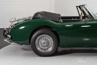 1966 Austin - Healey 3000 MKIII