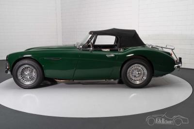 1966 Austin - Healey 3000 MKIII