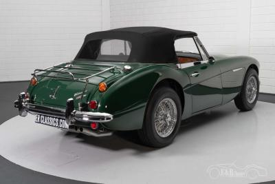 1966 Austin - Healey 3000 MKIII