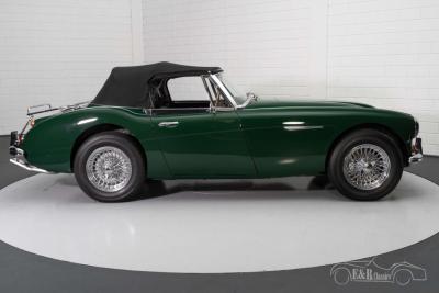 1966 Austin - Healey 3000 MKIII