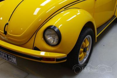 1974 Volkswagen Beetle