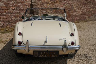 1954 Austin - Healey 100 Roadster 100M Specification