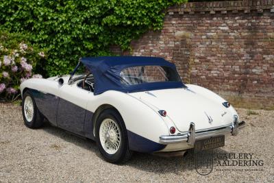 1954 Austin - Healey 100 Roadster 100M Specification