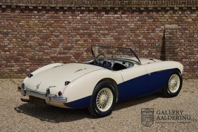 1954 Austin - Healey 100 Roadster 100M Specification