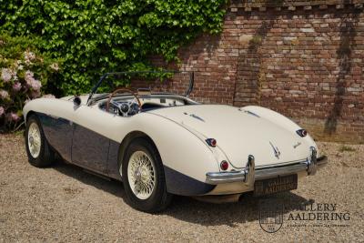 1954 Austin - Healey 100 Roadster 100M Specification