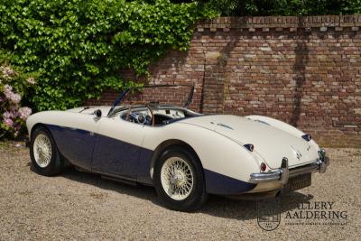 1954 Austin - Healey 100 Roadster 100M Specification