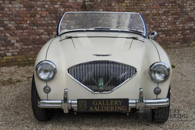 1954 Austin - Healey 100 Roadster 100M Specification