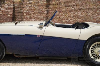 1954 Austin - Healey 100 Roadster 100M Specification