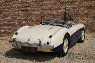 1954 Austin - Healey 100 Roadster 100M Specification