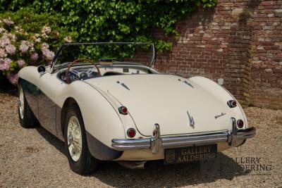 1954 Austin - Healey 100 Roadster 100M Specification