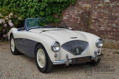 1954 Austin - Healey 100 Roadster 100M Specification