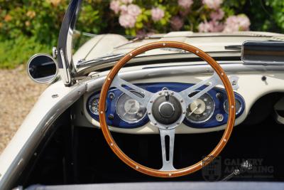 1954 Austin - Healey 100 Roadster 100M Specification