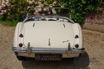 1954 Austin - Healey 100 Roadster 100M Specification