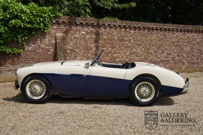 1954 Austin - Healey 100 Roadster 100M Specification