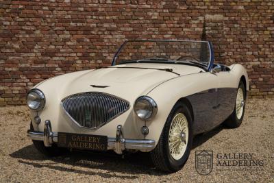 1954 Austin - Healey 100 Roadster 100M Specification