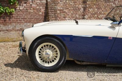 1954 Austin - Healey 100 Roadster 100M Specification