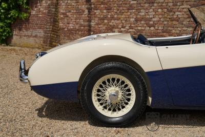 1954 Austin - Healey 100 Roadster 100M Specification