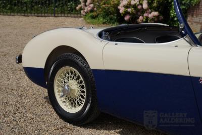 1954 Austin - Healey 100 Roadster 100M Specification