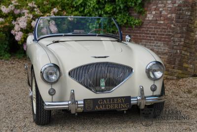 1954 Austin - Healey 100 Roadster 100M Specification