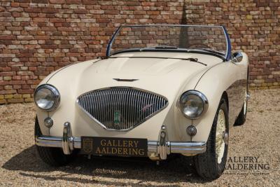 1954 Austin - Healey 100 Roadster 100M Specification