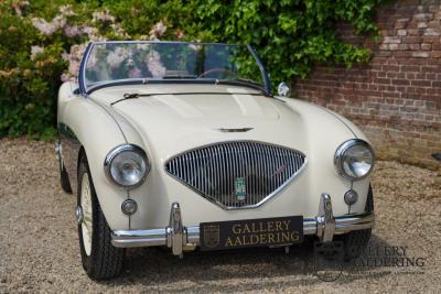 1954 Austin - Healey 100 Roadster 100M Specification