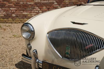 1954 Austin - Healey 100 Roadster 100M Specification