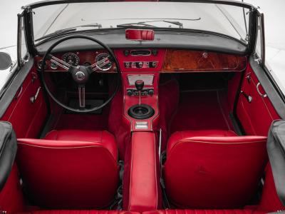 1966 Austin - Healey 3000 Mark III