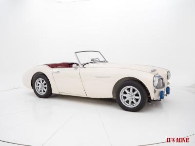 1962 Austin - Healey 3000 BT7 MKii