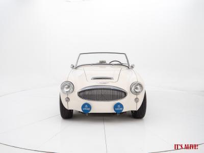 1962 Austin - Healey 3000 BT7 MKii