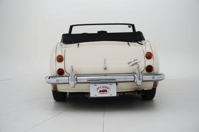 1966 Austin - Healey 3000 Mark III