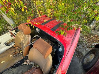 1977 MG MGB Project