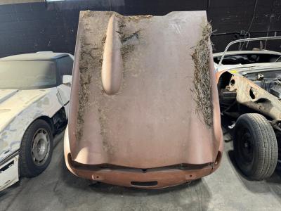 1968 Triumph TR250 Project