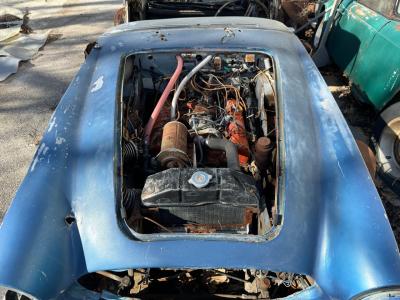 1967 Austin - Healey BJ8 Project