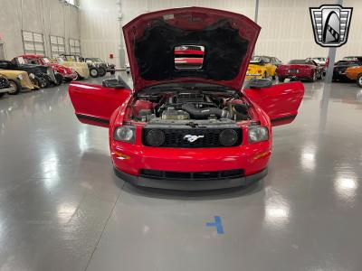 2005 Ford Mustang