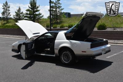 1984 Pontiac Firebird