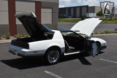 1984 Pontiac Firebird