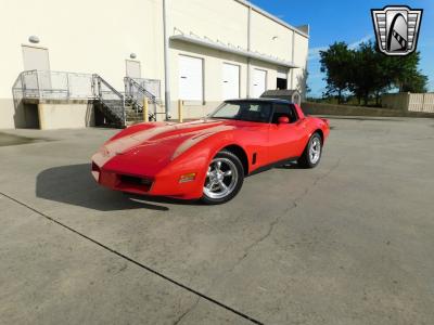 1981 Chevrolet Corvette