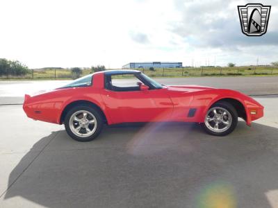 1981 Chevrolet Corvette