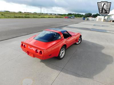 1981 Chevrolet Corvette