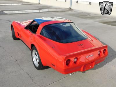 1981 Chevrolet Corvette