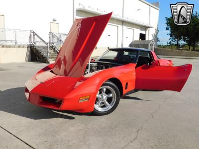 1981 Chevrolet Corvette