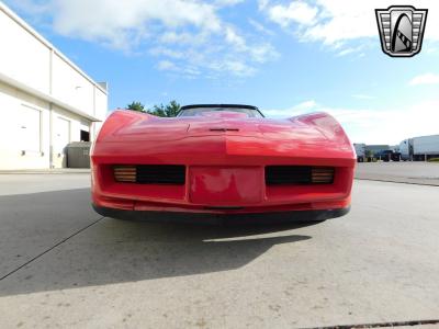 1981 Chevrolet Corvette