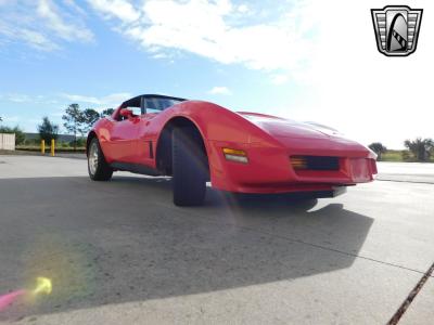 1981 Chevrolet Corvette