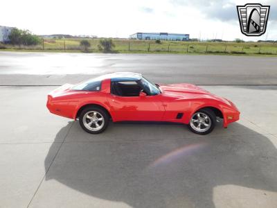 1981 Chevrolet Corvette