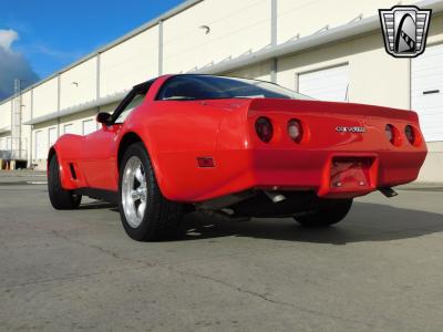 1981 Chevrolet Corvette